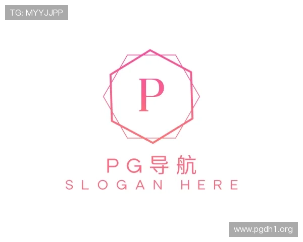概述pg导航